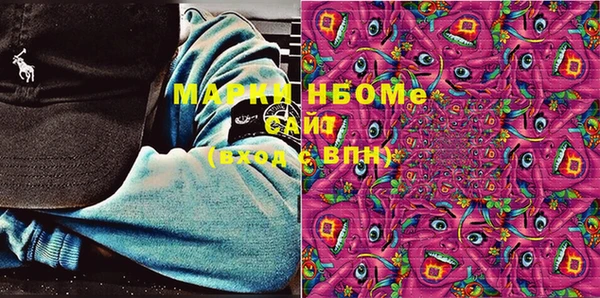индика Аркадак