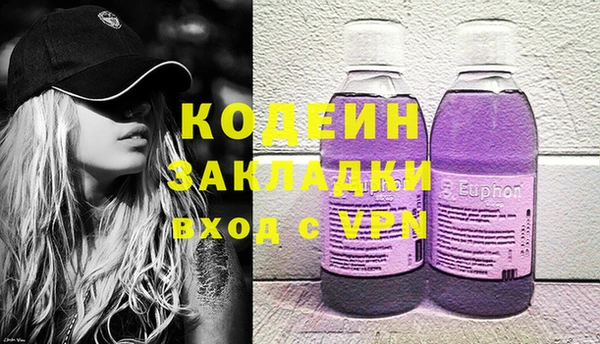 индика Аркадак