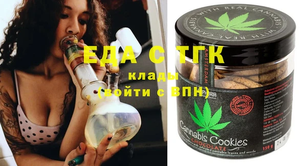 индика Аркадак