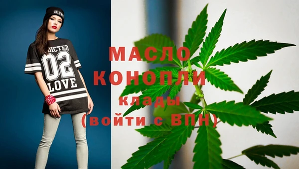 индика Аркадак