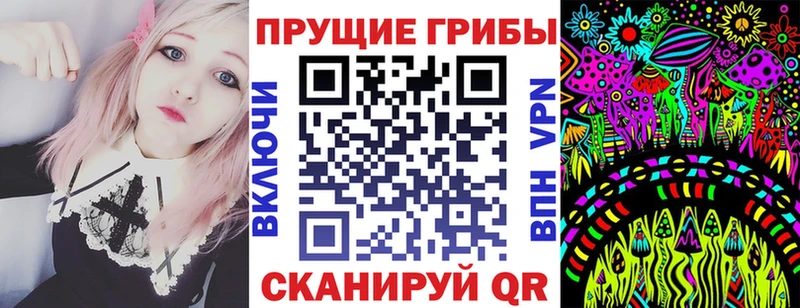 купить   Бабаево  Псилоцибиновые грибы мухоморы 