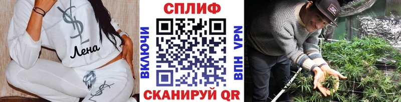 Бошки Шишки сатива  Бабаево 